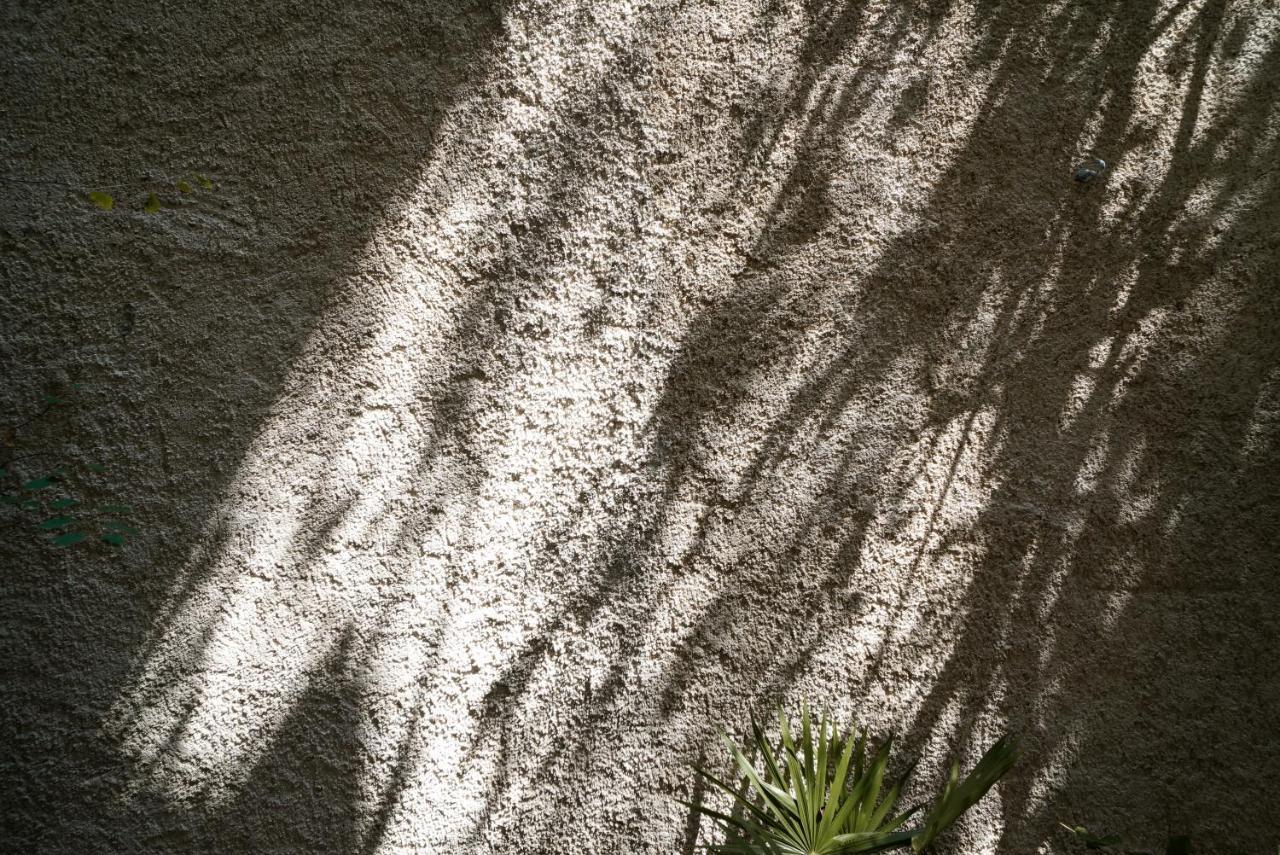 Teva Tulum, Aldea Zama Apartment Bagian luar foto